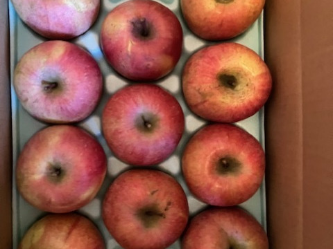 サンふじ(おうち用)3kg「見た目いまいち、味で勝負!!」