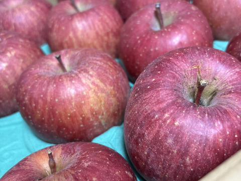 【販売中！人気商品】青森県産りんご「サンふじ」家庭用 キズ有 約10kg(5kg×2箱) 【美味・光センサー選果済】