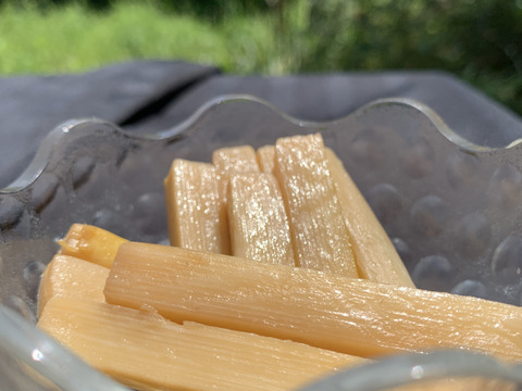 メンマ用たけのこ【自然栽培】水煮 900g（レシピ付き）期間限定品