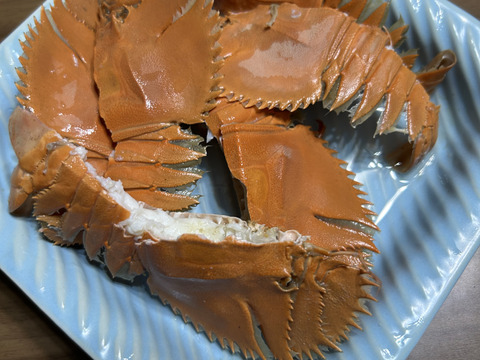 うちわえび 500g