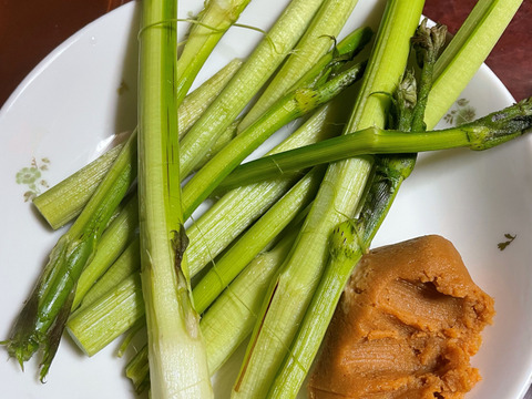 歯ごたえとぬめりが特徴！和え物に最適！山うるい2００ｇ