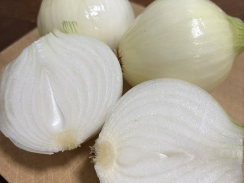 【自然栽培】シャキッ！トロッ！新玉ねぎ5kg