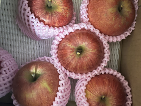 蜜入りりんごの代表格 サンふじ🍎 2キロ (6〜9玉)  ギフト 予約 りんご 農薬節減 さんふじ【11月上旬〜】