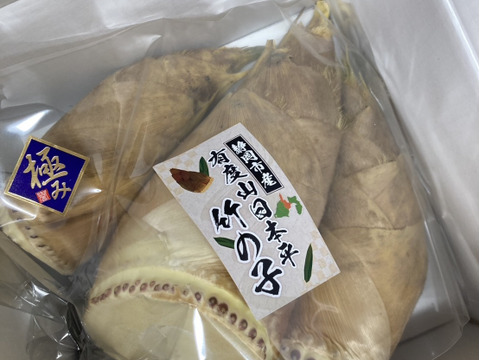 2026年度収穫分・静岡市産！有度山日本平竹の子『極み』2ｋｇ