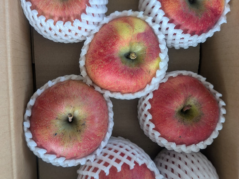 あどはだりしてまる！ふじと世界一が生んだ奇跡。葉取らずりんご美丘家庭用3kg