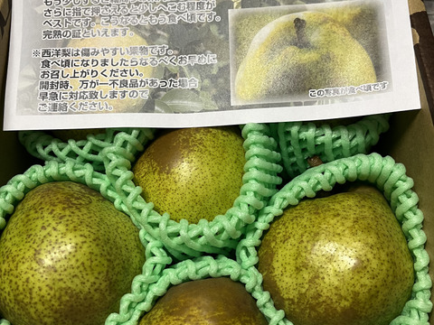 【11月発送】山形特選ラフランス【2キロ2L7玉】