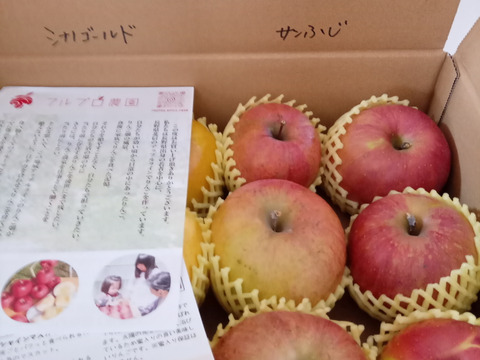 【旬のおまかせ】葉とらずりんご 加工用 約2.5kg(7-16玉) 1~3種類  #NAX0C025