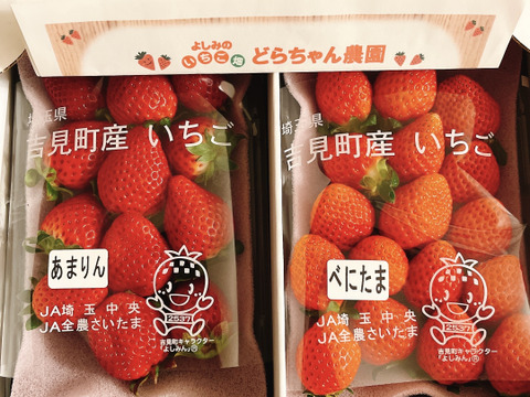 【あまりん・べにたま】食べ比べ２パック(500g)🍓