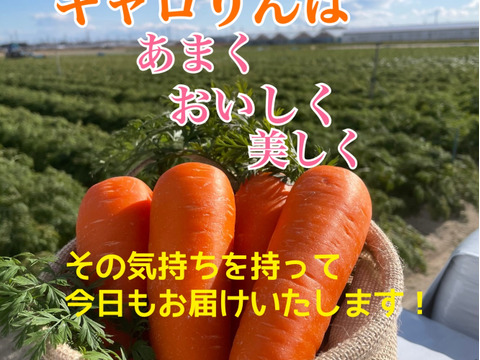 【はらぺこ冬の福袋】お節やお鍋、おでんに大活躍！紅白里芋とろりん（各1kg袋）+ホクホク金時（2kg）+キャロりん(2kg)