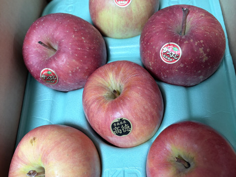 權之丞の葉取らずミックス！　🏆2025年りんごGP金賞受賞🎊葉取らず高徳&葉取らずサンふじ　家庭用2kg【5〜10個入り】