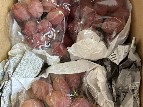 【カナダ人農園主の真心を込めた】サニールージュ約１ｋｇ（ご家庭用）