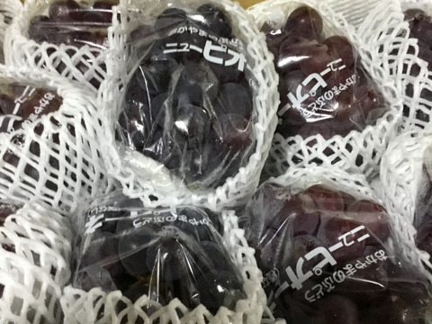 岡山県産 ピオーネ 約5kg 人気No.1】岡山産ピオーネ 5kg｜ファミリーで楽しめる甘くて