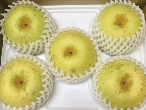 ラスト1ケース‼️【幻の梨⁉️】かおり贈答用約2.2kg(大玉2-4個入)✨️メロンのような甘い香りでとってもフルーティー✨シャキシャキでキメ細か✨️豊水にも負けない果汁量💦