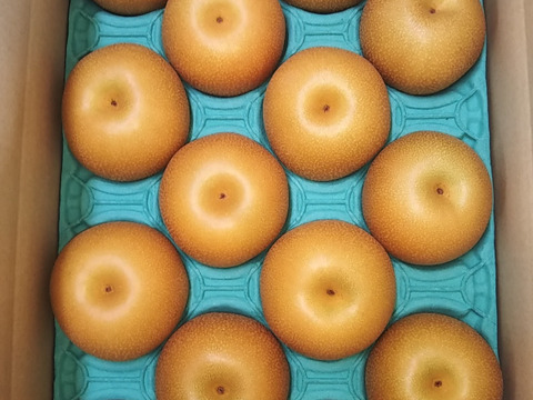 豊水呉羽梨贈答用5ｋｇ