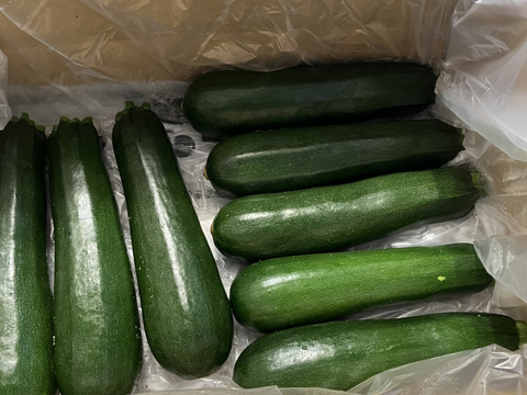 採りたてズッキーニ群馬県産(2kg)