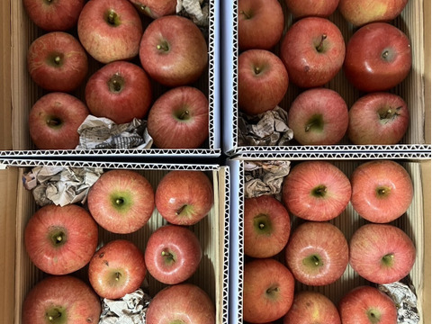 ご家庭用サンふじリンゴ　3kg