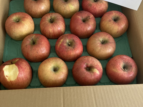 完熟サンふじ【鮮度保持貯蔵】スマートフレッシュ済分　訳あり　ご家庭専用 5キロコース　（12～20個入り）