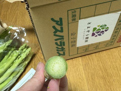 【朝採】 アスパラガス 規格外品 ２kg 【収穫当日発送】