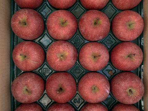 さんフジ 山形 朝日町産 贈答用 りんご 約5kg 18か20個入り