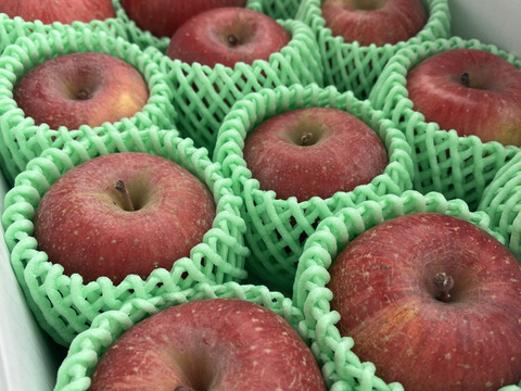 まるせい果樹園の節分りんご　訳あり　3㌔　自家用　家庭用 hs2