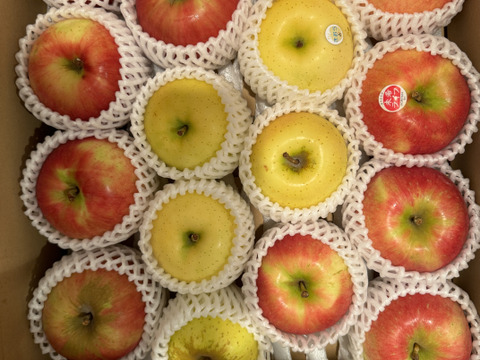 2024年産完売御礼✨特別栽培りんご🍎🍏おまかせりんご3種食べ比べ5kg🍎🍏 訳ありご家庭用 りんご詰合せ 化学肥料不使用 青森県特別栽培認証 皮ごとおいしい🍴