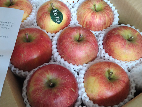 【冬ギフト】 🍎レビュー数1700件突破！！《家庭用》青森完熟葉とらずふじ８〜１２玉(約３kg)🍎ID119812