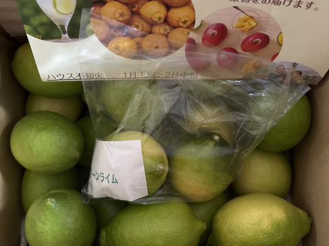 国産グリーンレモン 2キロ