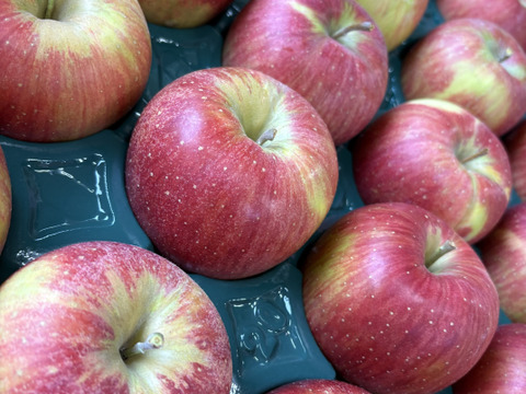 訳あり 小玉 シナノスイート 3ｷﾛ箱使用 13～16玉 長野県産