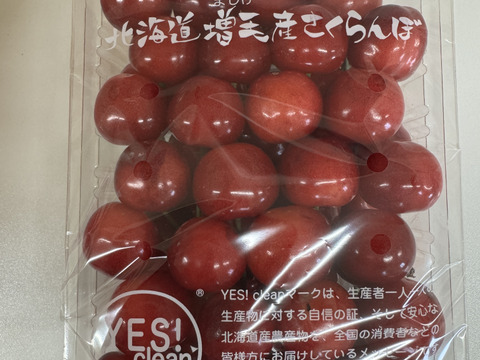 北海道産大玉さくらんぼ【佐藤錦】1kg