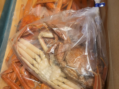 たまらない旨さ✨本ズワイガニ~人気でお得な浜茹で1.5Kgセット~