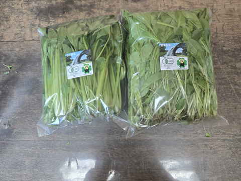 有機JAS  元気たっぷりルッコラ！小松菜各×500g