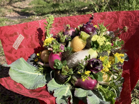【期間限定】【春ギフト】花と野菜をミックスしたブーケ ブーケタイプ【カラフルなミニ野菜】ファーマーズヤード【お誕生日】【開店祝い】【周年祝い】【お供え】