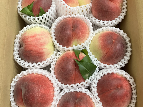 夢みずき 3kg ご予約商品山梨の美味しい桃 夢みずき3kg 9-15個入り (農家産直