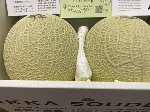 【緊急放出】外まで甘いマスクメロン2玉2.6kg箱入り（2玉で2.6kg以上）