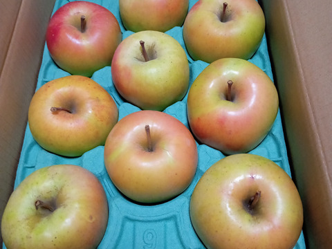 マツコDXさんが絶賛✨【このりんごを嫌いな人はいますか？？】名月 3キロ箱 6玉〜16玉サイズ 商品ID44435 ぐんま名月 甘い 信州 リンゴ 幻 幻のリンゴ 予約 希少