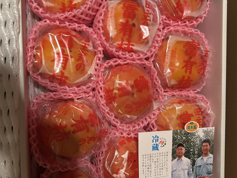 冷蔵柿（富有柿）11個入りⅬサイズ
福岡県久留米市田主丸産