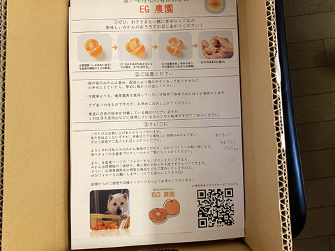 【数量限定・小玉みかん解禁】外さない 濃い有田みかん小 3キロ箱 和歌山県 有田 みかん 2S中心サイズ　秀・家庭用ミックス