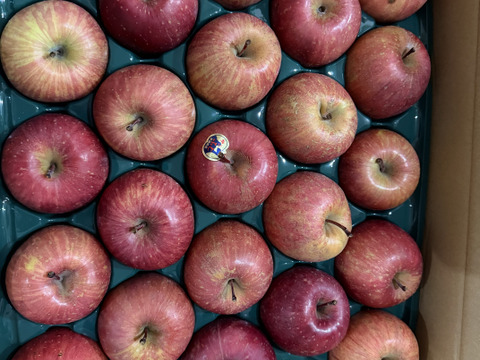 青森県産りんご 大人気 リピートNo.１ 
先行予約の為お急ぎでお願い致します。【代々受け継がれた歴史深いオリジナルの味】
自然オリジナル蜜入り農法りんご栽培家庭用葉とらずサンふじ５kg