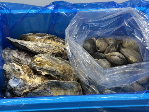 旬の貝類バーベキューセット