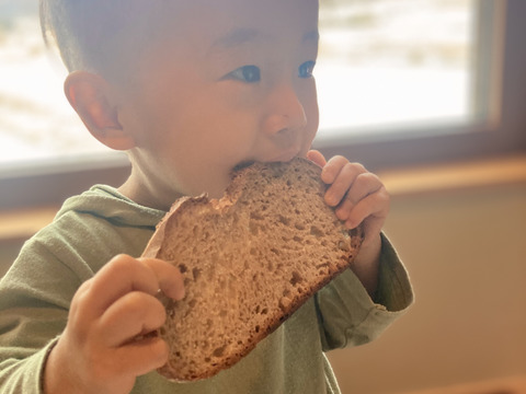 香り豊か！7年産有機南部小麦「全粒粉」１kg詰め