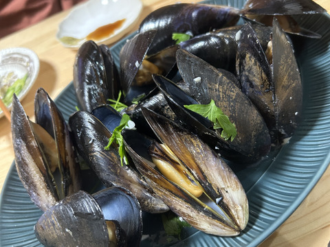 【天然✨陸奥湾産】活ムール貝【1Kg〜】