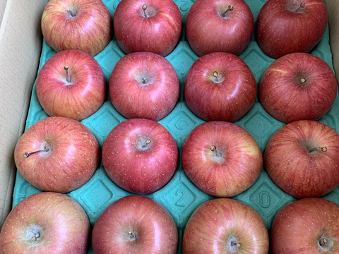 食べ切りサイズ！サンふじ２３玉（小玉ｻｲｽﾞ）5ｋｇ