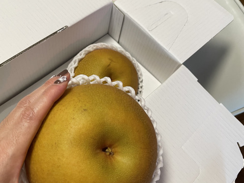 梨グランプリ トリプル受賞】「彩玉」贈答用 超大玉品限定パッケージ