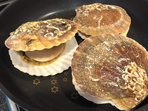 【北海道からお届け!】噴火湾産ホタテ貝(2kg 16枚前後)