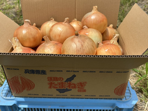 【淡路島産】淡路島玉ねぎ5kg M〜LLサイズ混合