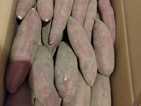 千葉県産 訳ありさつまいも【シルクスイート】約5kg サイズ色々