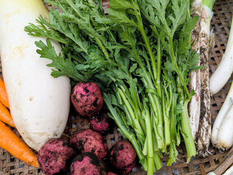 【群馬県産】冬のお野菜セット『7品目』