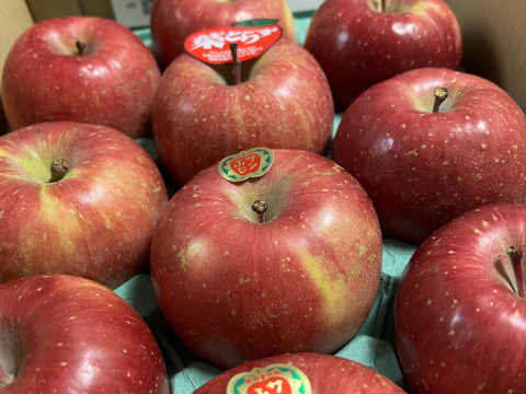 発送開始！完熟葉とらずサンふじ🍎約3kg
