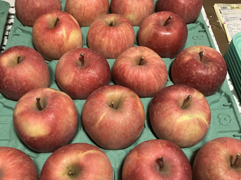 すぐ発送！5キロ 16-20 蜜入チェック済！樹上完熟蜜入葉取らずサンふじ　農薬半減栽培で安心安全