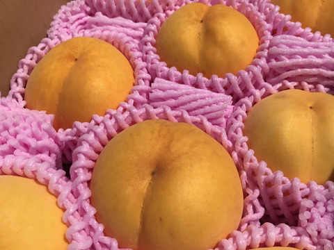 リピート続出！【有機栽培の『つきあかり』 約3kg】自然に優しく希少でジューシーな天然桃(9～12個入)！